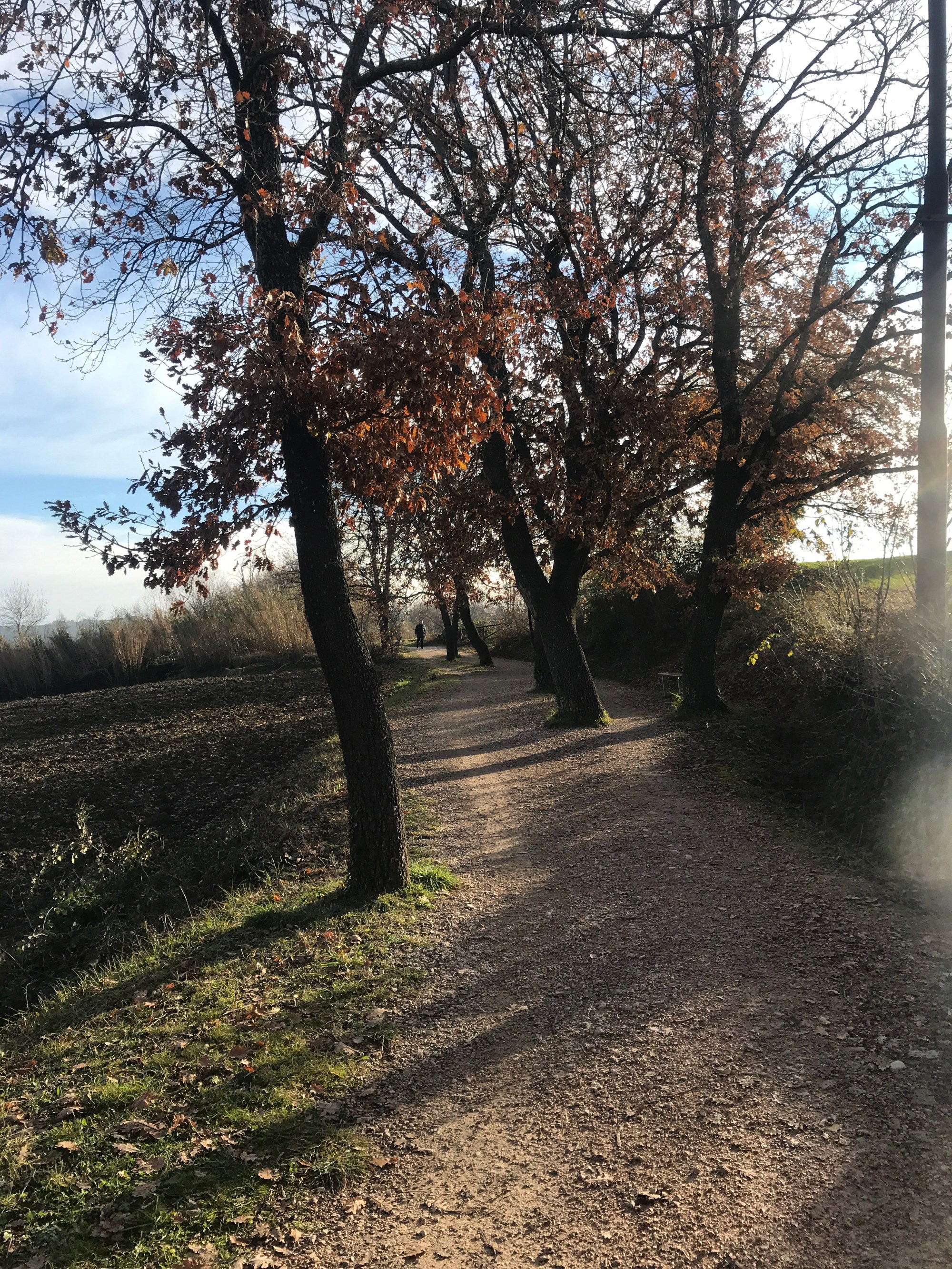 Runner Extralarge San Marino allenamento